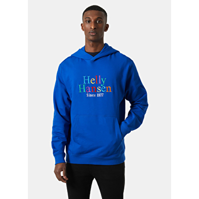 Helly Hansen Core Graphic Erkek Kapüşonlu Sweatshirt