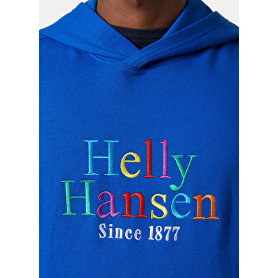 Helly Hansen Core Graphic Erkek Kapüşonlu Sweatshirt