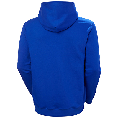 Helly Hansen Core Graphic Erkek Kapüşonlu Sweatshirt