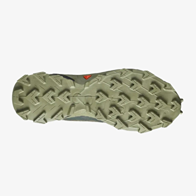 Salomon Alphacross 5 Gtx Erkek Patika Koşu Ayakkabısı