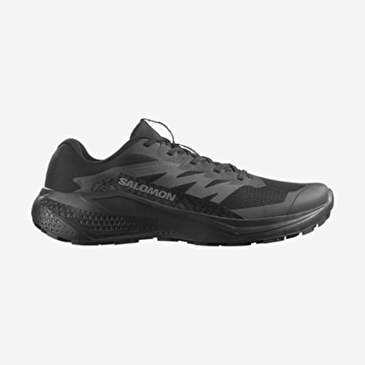 Salomon Alphaglide Erkek Patika Koşu Ayakkabısı